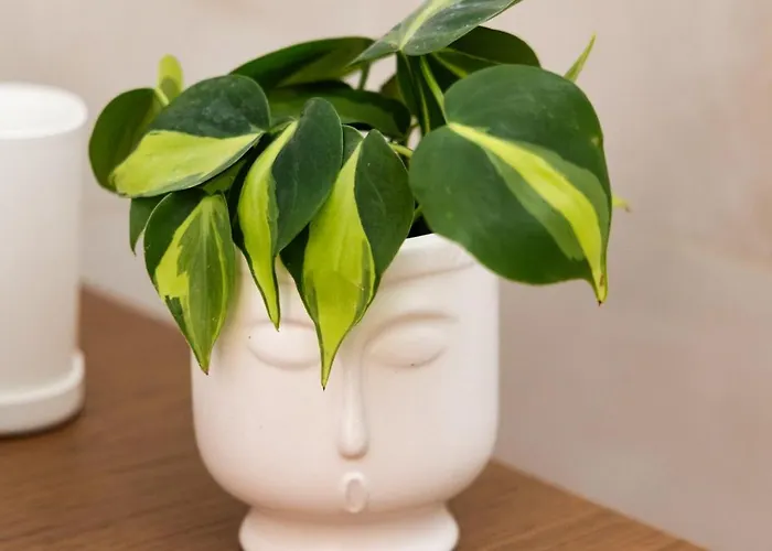 Nafsika Apt., Next To The Beach!